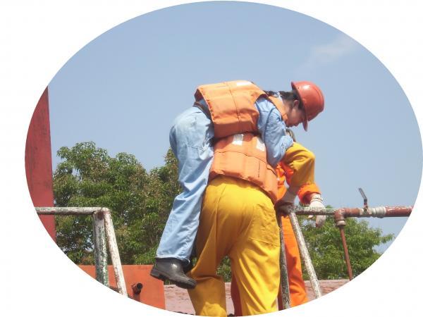 592790394l1 592790394l1